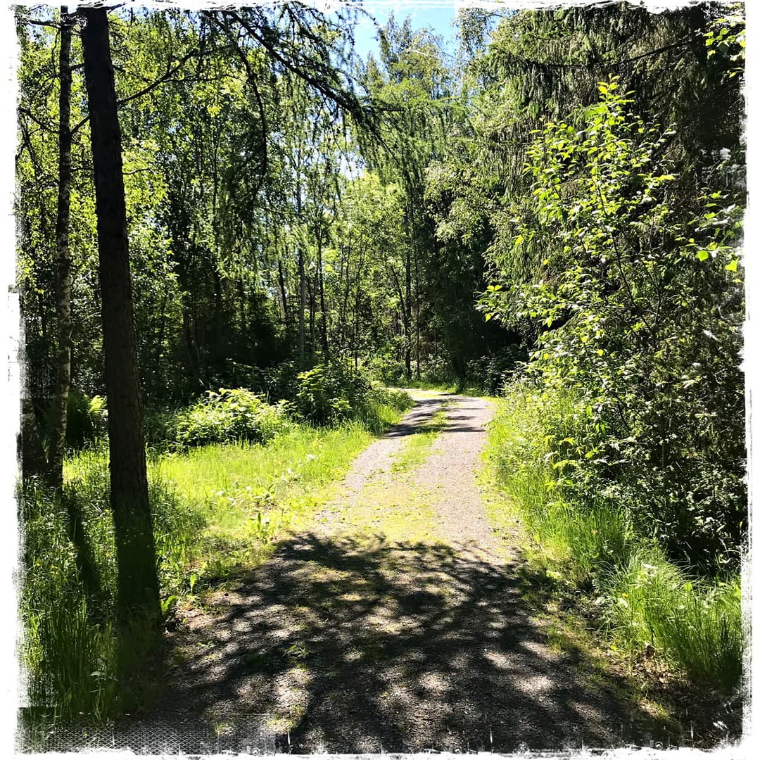 Norra Havsängen